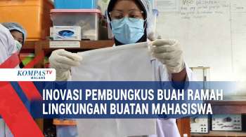 Keren! Mahasiswa Buat Pembungkus Buah Ramah Lingkungan