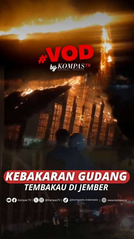 GUDANG PENGERINGAN TEMBAKAU DI JEMBER LUDES TERBAKAR