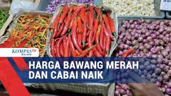 Cuaca Buruk, Harga Bawang Merah Dan Cabai Merah Melonjak!
