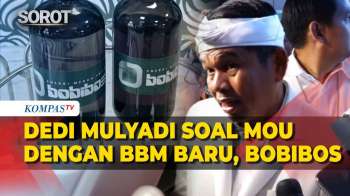 Dedi Mulyadi Tancap Gas! MOU Bareng Bobibos, Bakal Produksi Skala Kecil