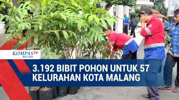 Pemkot Malang Bagikan Tiga Ribu Lebih Pohon untuk Kelurahan