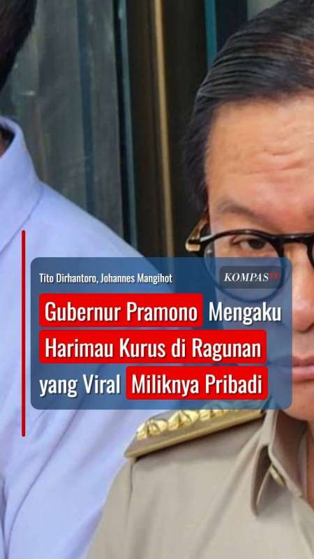 Gubernur Pramono Mengaku Harimau Kurus Di Ragunan Yang Viral Miliknya Pribadi