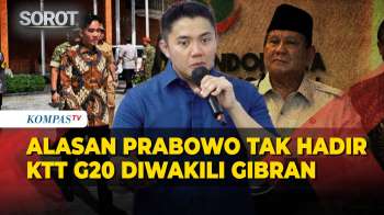 Ini Alasan Presiden Prabowo Absen KTT G20 Afrika Selatan Diwakili Wapres Gibran