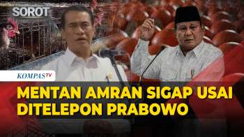 Mentan Amran Cerita Ditelepon Prabowo Malam-Malam, Bahas Harga Ayam Dan Telur