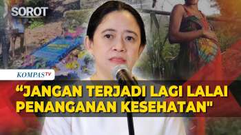 Puan Soroti Kasus Ibu Hamil Meninggal Usai Ditolak 4 RS Di Papua: Kemenkes Evaluasi