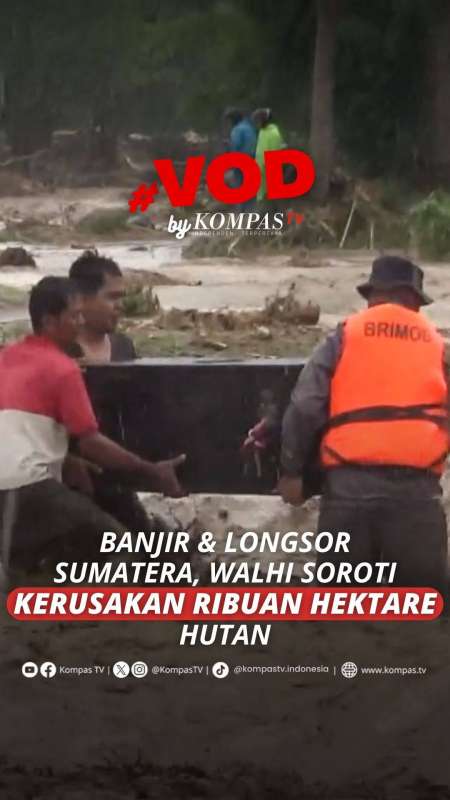 Banjir Dan Longsor Sumatera, WALHI Soroti Kerusakan Ribuan Hektare Hutan