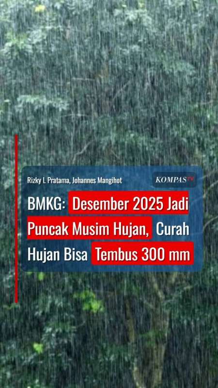 BMKG: Desember 2025 Jadi Puncak Musim Hujan, Curah Hujan Bisa Tembus 300 Mm