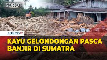 Penampakan Kayu Gelondongan Berceceran-Menumpuk Di Sungai Pasca Banjir Di Sumatra