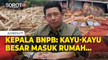 Kepala BNPB Ungkap Dampak Kayu Gelondongan Terbawa Banjir Di Tapanuli Selatan: Sampai Masuk Rumah...