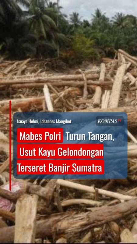 Mabes Polri Turun Tangan, Usut Kayu Gelondongan Terseret Banjir Sumatra