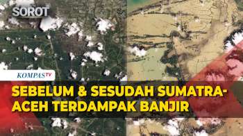 Gambar Satelit Sumatra & Aceh: Sebelum-Sesudah Terdampak Bencana Banjir