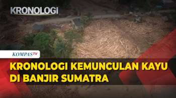 Kronologi Kemunculan Kayu Gelondongan Di Bencana Sumatra, Kapolri Bakal Usut Bersama Kemenhut