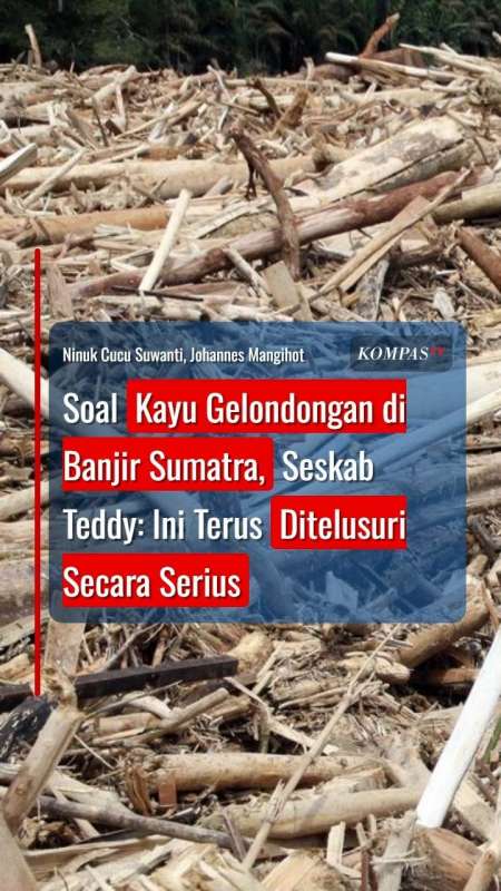 Soal Kayu Gelondongan Di Banjir Sumatra, Seskab Teddy: Ini Terus Ditelusuri Secara Serius