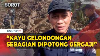 Menteri Lingkungan Hidup: Tumpukan Kayu Gelondongan Sebagian Dipotong Gergaji