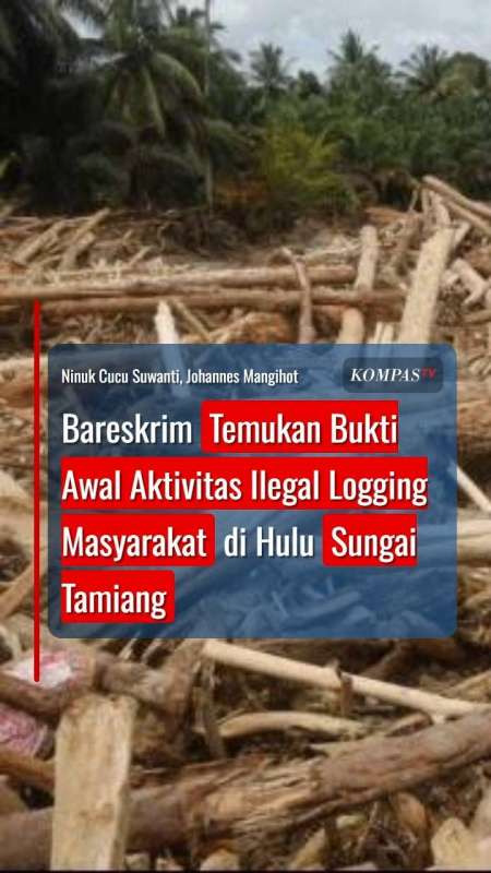 Bareskrim Polri Temukan Bukti Awal Ilegal Logging Masyarakat di Hulu Sungai Tamiang