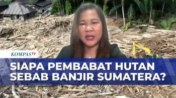 [FULL] Walhi Blak-Blakan Soal Siapa Pembalak Hutan Sebab Banjir Sumatera? | SAPA PAGI