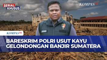 Soal Kayu Gelondongan Banjir Sumatera, Bareskrim: Ditemukan 10 Jenis Pohon, Akan Diselidiki!