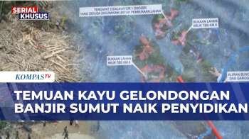 Data Citra Satelit Bongkar 110 Titik Pembukaan Lahan, Polisi Mulai Ungkap Penyebab Banjir Bandang