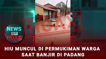 Hoax Hiu Muncul Saat Banjir Di Kota Padang