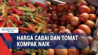 jelang-nataru-harga-cabai-dan-tomat-di-pasar-naik