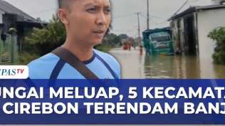 penampakan-banjir-rendam-lima-kecamatan-di-cirebon-imbas-sungai-karangdewa-meluap-berut