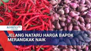 jelang-nataru-harga-bapok-merangkak-naik