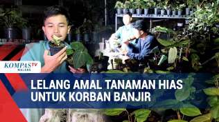 penghobi-tanaman-hias-gelar-lelang-amal-untuk-korban-banjir-sumatera