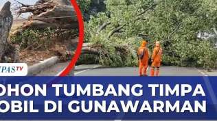 angin-kencang-terpa-pohon-raksasa-tumbang-hingga-timpa-mobil-di-gunawarman-berut