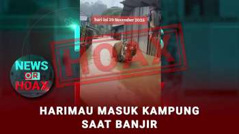 Hoax Harimau Masuk Kampung Saat Banjir
