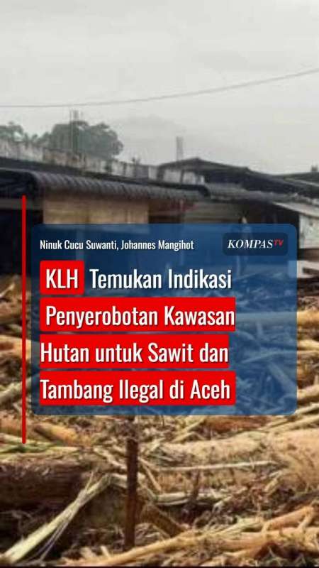 KLH Temukan Indikasi Penyerobotan Kawasan Hutan Untuk Sawit Dan Tambang Ilegal Di Aceh