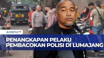 Melawan Saat Ditangkap, Pelaku Pembacokan Anggota Polres Lumajang Dilumpuhkan Polisi