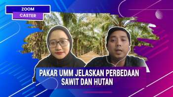 Simak! Ini Perbedaan Sawit Dan Hutan I ZOOM CASTER