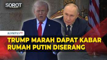 Donald Trump Dapat Kabar Rumah Vladimir Putin Diduga Diserang Ukraina: Saya Sangat Marah!