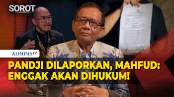 Mahfud MD Respons Pandji Dilaporkan: Tenang, Enggak Akan Dihukum!