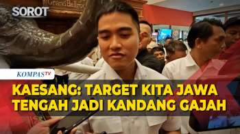 Kaesang Pangarep: Target Kita Jawa Tengah Jadi Kandang Gajah