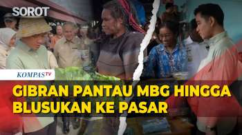 Momen Wapres Gibran Di Papua: Pantau MBG Hingga Blusukan Ke Pasar