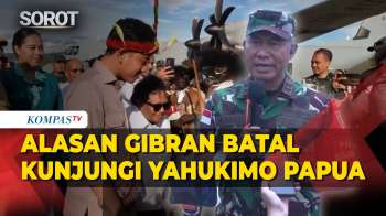 Alasan Wapres Gibran Batal Kunjungi Yahukimo Papua