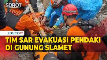Detik-Detik Tim SAR Evakuasi Jenazah Syafiq Ali Pendaki Hilang Di Gunung Slamet