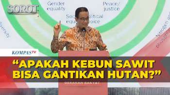 Anies Soroti Pihak Yang Sebut Semua Pohon Sama: Apa Sawit Bisa Gantikan Hutan?