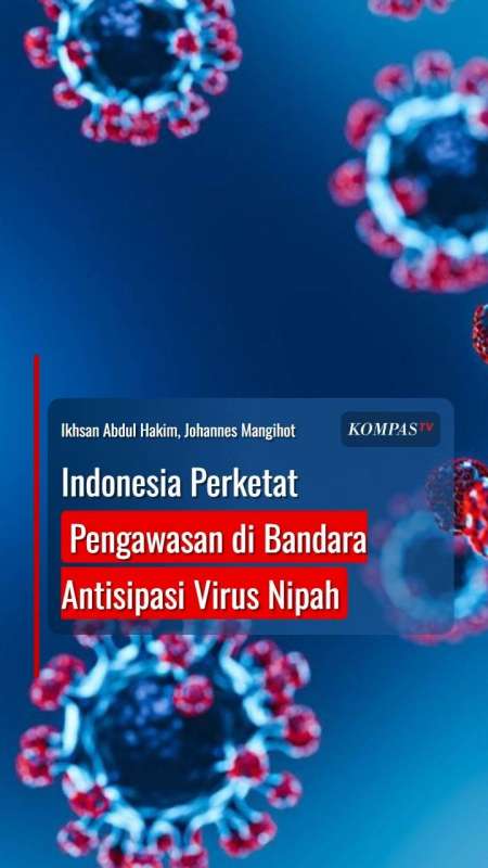 Indonesia Perketat Pengawasan Di Bandara Antisipasi Virus Nipah Dari India