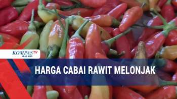 Harga Cabai Rawit Melonjak Tembus Rp 80 Ribu