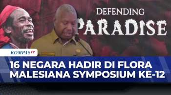 Flora Malesiana Symposium Ke-12 Digelar Di Papua Barat | SAPA PAGI