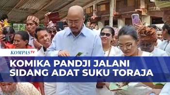 Jalani Sidang Adat Soal Candaan Toraja, Komika Pandji Terima Sanksi Adat | JURNAL NUSANTARA