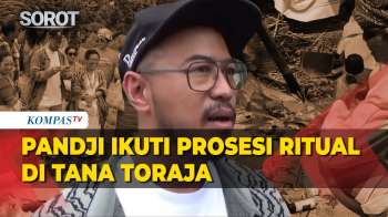 Momen Pandji Pragiwaksono Ikuti Ritual Massarring Di Tana Toraja