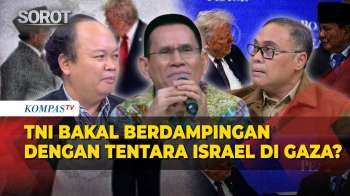 Debat Prof Hikmahanto, Istana & Eks Kapuspen TNI Soal Hamas Peringatkan Prajurit TNI Masuk Gaza
