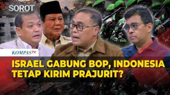 Prof Hikmahanto hingga Eks Kapuspen soal Kirim Prajurit TNI ke Gaza, Berisiko Konflik?