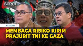 Prof Hikmahanto, Demokrat hingga Andi Widjajanto Soal Israel Masuk BOP, Perlukah Indonesia Mundur?