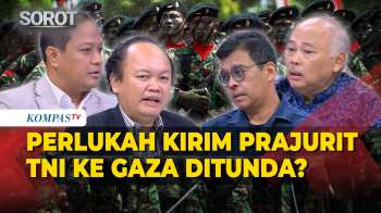 Demokrat & Andy Widjajanto soal Israel Gabung BOP, Indonesia Tetap Kirim Prajurit TNI ke Gaza?
