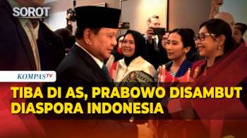 Tiba Di Amerika Serikat, Prabowo Disambut Diaspora Indonesia