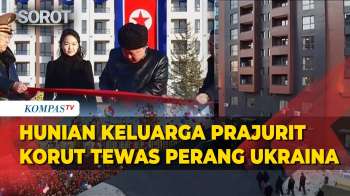 Kim Jong Un Beri Hunian Ke Keluarga Prajurit Korut Gugur Perang Di Ukraina